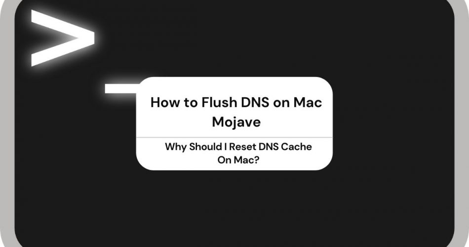 Flush DNS on Mac Mojave
