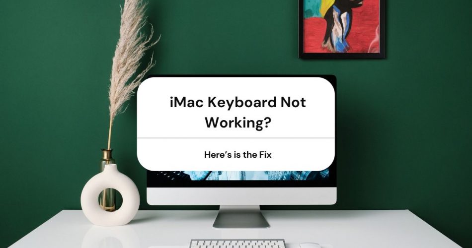 imac keyboard not working